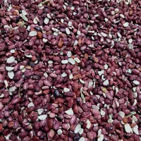 لوبیا قرمز ریز کیلو ۶۰