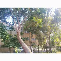 اجارهٔ آپارتمان 120متری