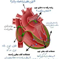 مشاوره درسی میخوام تجربی