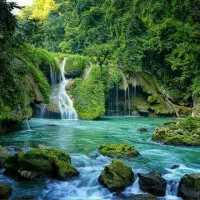 نظافت و کار