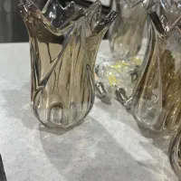 لاله لوستر شامپاینی