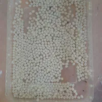 خاویار حلزون