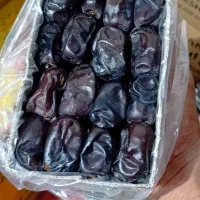 خرما مضافتی