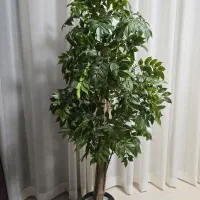 درخت اقاقیا|گل مصنوعی|بندرعباس, |دیوار