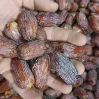 مجول|خوردنی و آشامیدنی|شیراز, منطقه هوایی شهید دوران|دیوار