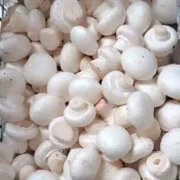 پخش عمده و کیلویی قارچ