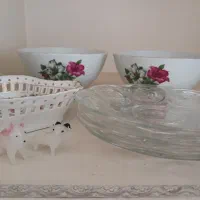 دیس بزرگ گل میخک و