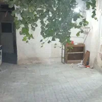 اجاره مسکونی خونه ویلایی دربست‌ حیاط‌دار توس ‌۹۳|اجارهٔ خانه و ویلا|مشهد, شهید بصیر|دیوار