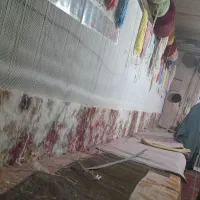 دار قالی، دستگاه قالی|ابزارآلات|بناب, |دیوار