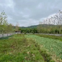 فروش ۸۰۰متر زمین مسکونی دوردیوار جنگلی با پروانه