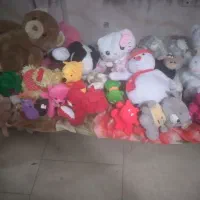 خشکشویی سپید اکسپرس(گلشهر بلوار هوشیار)|خدمات نظافت|کرج, کرج نو|دیوار