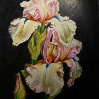 آموزش نقاشی پایه تا پیشرفته