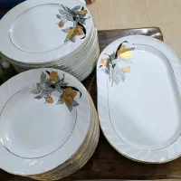 ظروف چینی