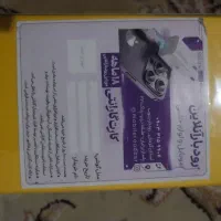 پوکو c71|موبایل|کهنوج, |دیوار