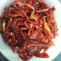 استخدام خانم کارآفرین