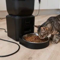 ظرف غذا و ظرف آب اتوماتیک گربه و سگ