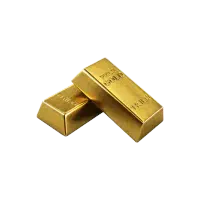 یک قطعه طلا پیدا شده