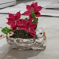 خرگوش و پروانه