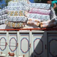 دستمال کاغذی جعبه‌ای|مواد شوینده و دستمال کاغذی|شیروان (خراسان), |دیوار