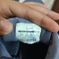 کفش اورجینال نایک نیمتری|کیف، کفش، کمربند|آمل, |دیوار