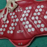 هوگو تکواندو