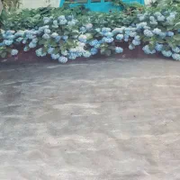 فون عکاسی|دوربین عکاسی و فیلم‌برداری|تهران, امام حسین|دیوار