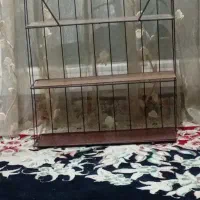 استند