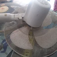 پنکه پارس خزر|پنکه و تصفیه‌کنندهٔ هوا|سنندج, |دیوار