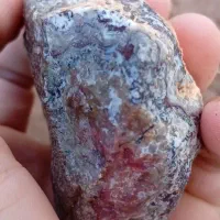 شجر|جواهرات|رفسنجان, |دیوار