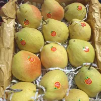 گلابی درگزی|خوردنی و آشامیدنی|اقبالیه, |دیوار