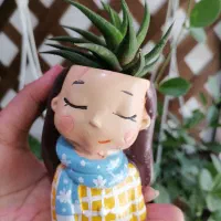 انواع گلدان فانتزی و گل آپارتمانی|گل و گیاه طبیعی|کرمان, |دیوار