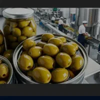 سرکارگر و کارگر خط تولید