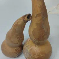 کدو کاملا سالم و خشک
