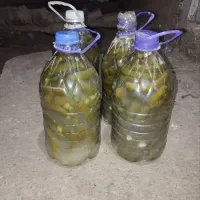 خیارشور ریز