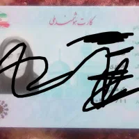 مدارک گمشده