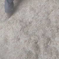 خریدار کاه بصورت خرده و عمده