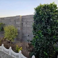 باغ و باغچه181متربهترین منطقه برای سرمایه گذاری