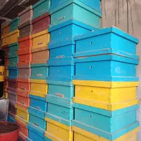 طبق زنبور نو و کارکرده. زنبور