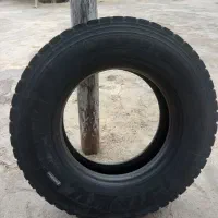 یک حلقه لاستیک جینیو