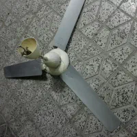 دو دستگاه پنکه سقفی|پنکه و تصفیهکنندهٔ هوا|بروجرد, |دیوار