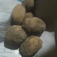 سیب اگریا|خوردنی و آشامیدنی|داران, |دیوار