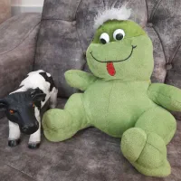 اسباب بازی وعروسک|اسباب‌‌بازی|شهریار, شهریار|دیوار