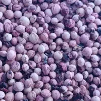 هسته البالو|عمده‌فروشی|تهران, شهرک ولیعصر جنوبی|دیوار