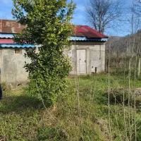 فروش-فوری-خانه-محوطه-450متر-ی-زیر-قیمت-منطقه