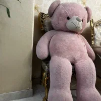 خرس بزرگ خارجی