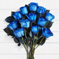 انجام کلیه امورزیبایی