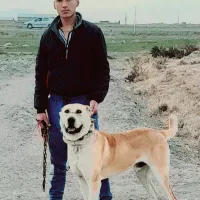 بعلت نداشتن  جا