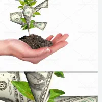 سرمایه گذاری