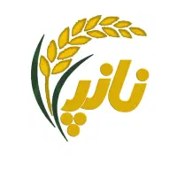مدیر شبکه و نرم افزار اپلیکیشن نانپ
