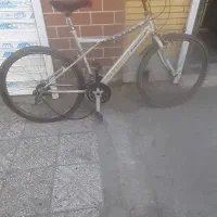 دوچرخه الگانس ۲۶